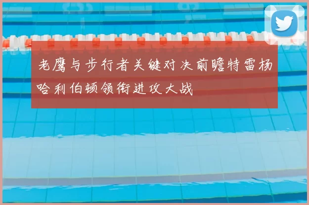 老鹰与步行者关键对决前瞻特雷杨哈利伯顿领衔进攻大战